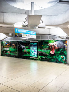 Westminster Jungle large format vinyl wall graphics