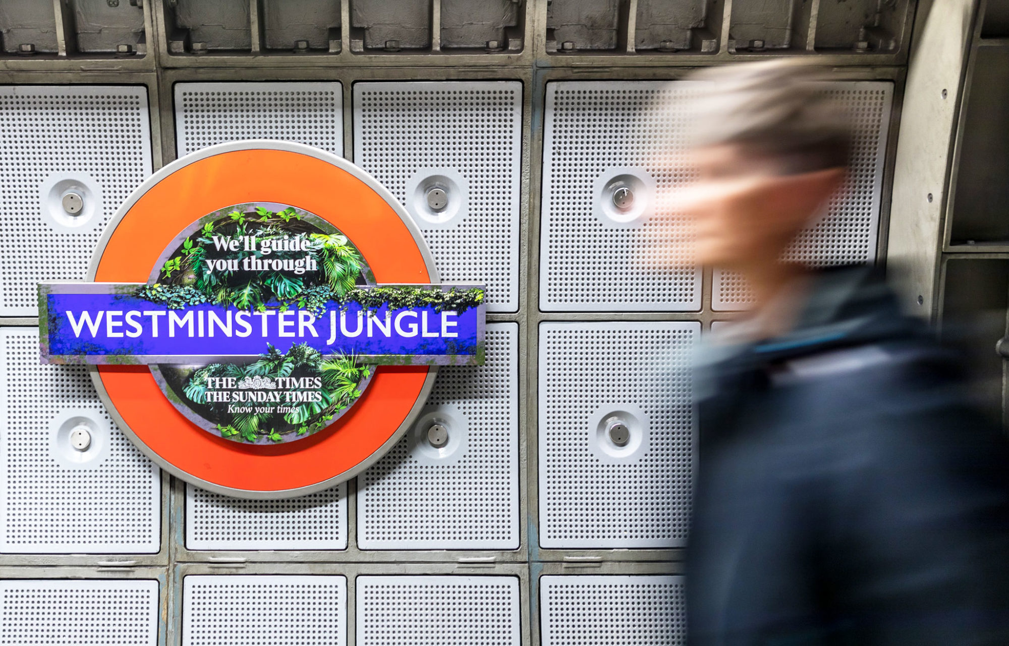 Westminster Jungle hero banner